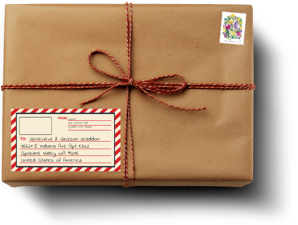 Brown Paper Parcel with mailing address for Genevieve and Jackson Graddon